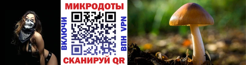 купить  цена  Добрянка  Псилоцибиновые грибы GOLDEN TEACHER 
